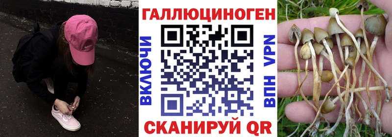 хочу наркоту  ссылка на мегу ссылки  Галлюциногенные грибы прущие грибы  Кольчугино 