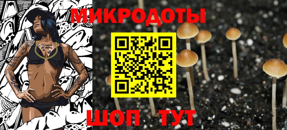 Галлюциногенные грибы прущие грибы Кольчугино