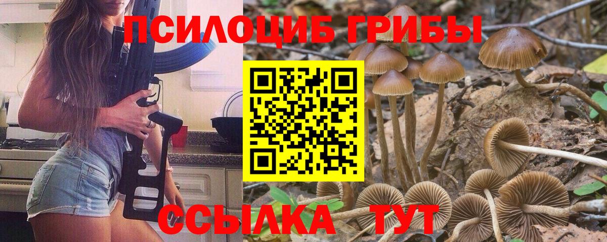 Кольчугино  магазин    Вход с VPN  Галлюциногенные грибы Psilocybine cubensis  Галлюциногенные грибы ЛСД 